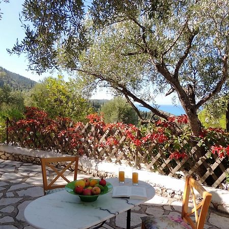 Agios Nikitas Villas Esterno foto